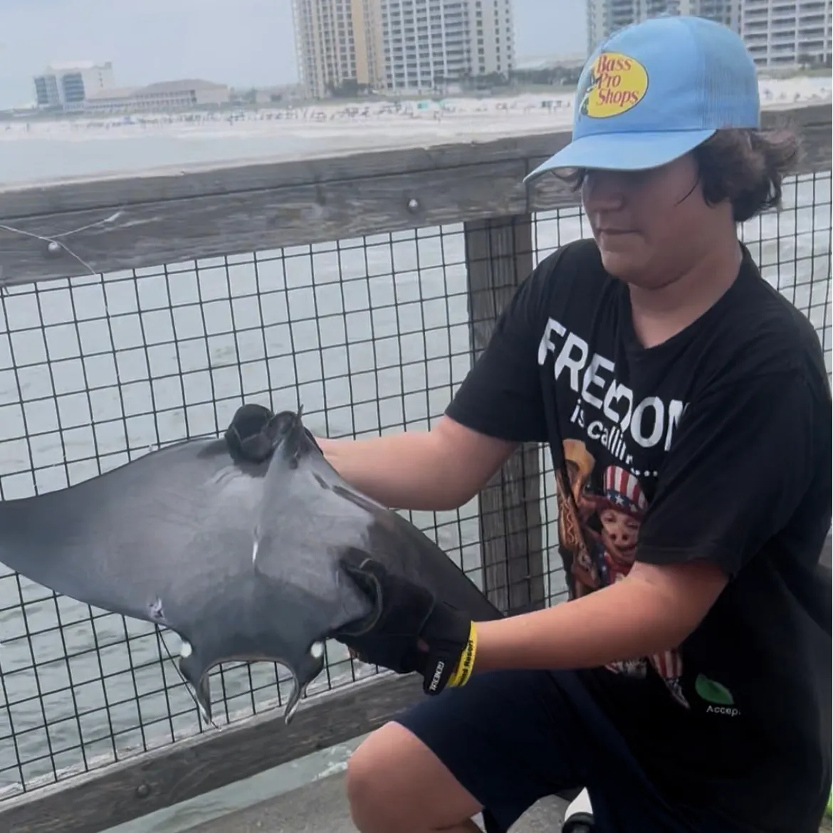 The most recent Lesser devil ray catches on Fishbrain