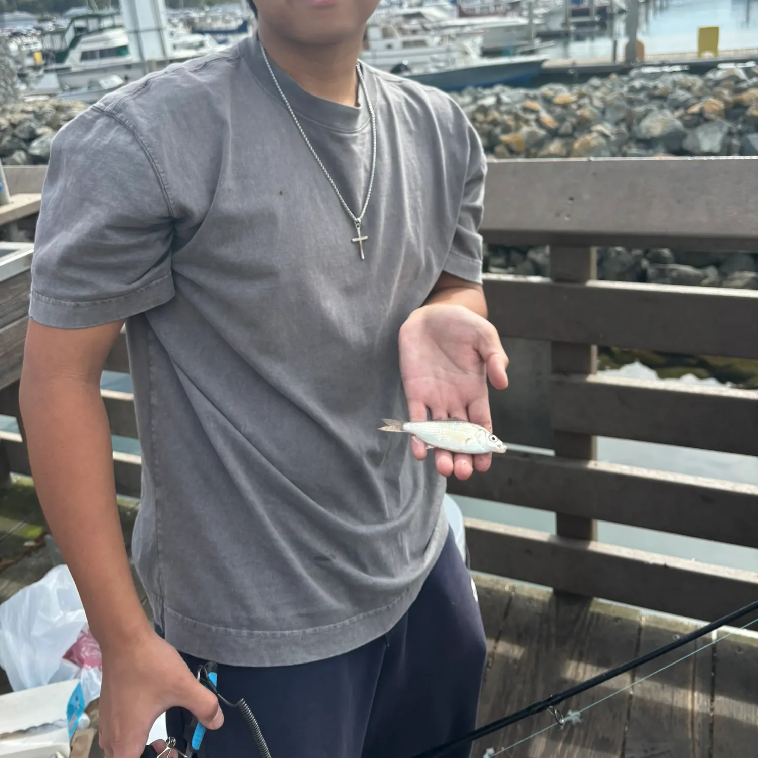 The most recent Mooneye catches on Fishbrain