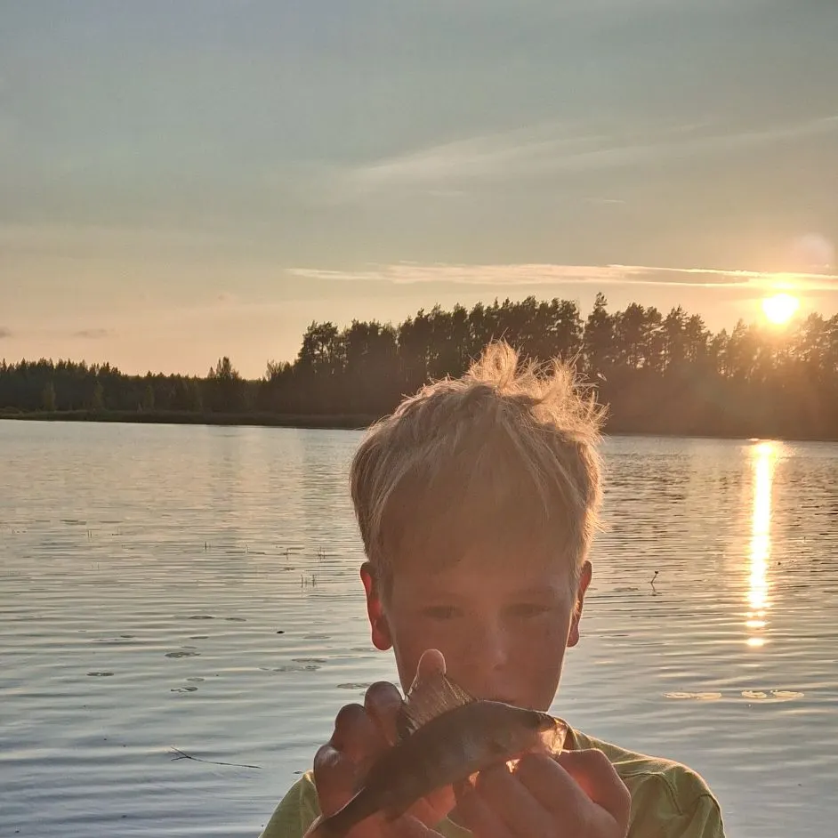 Northern pike caught on Fishbrain