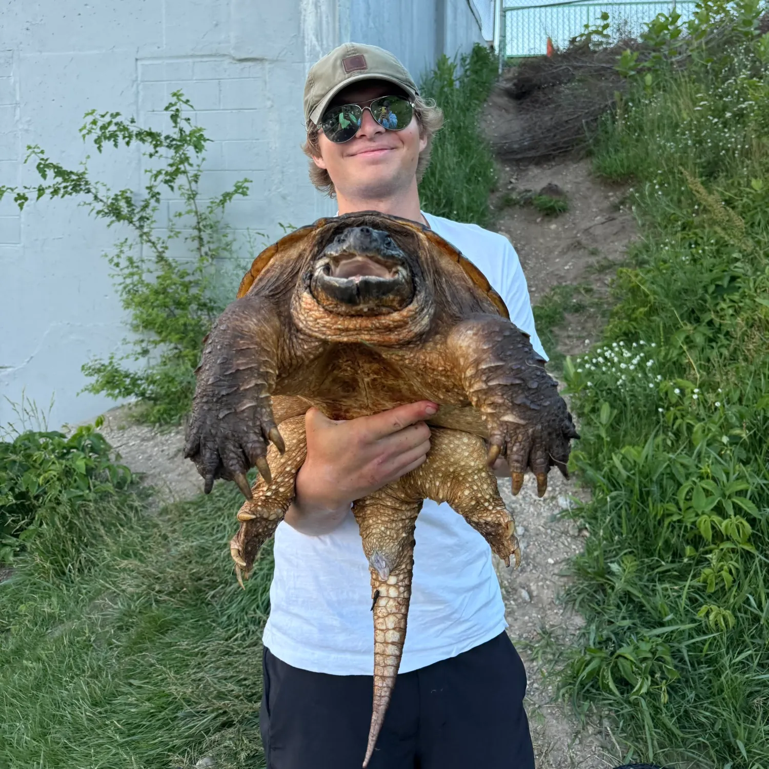 The most recent Common snapping turtle catches on Fishbrain