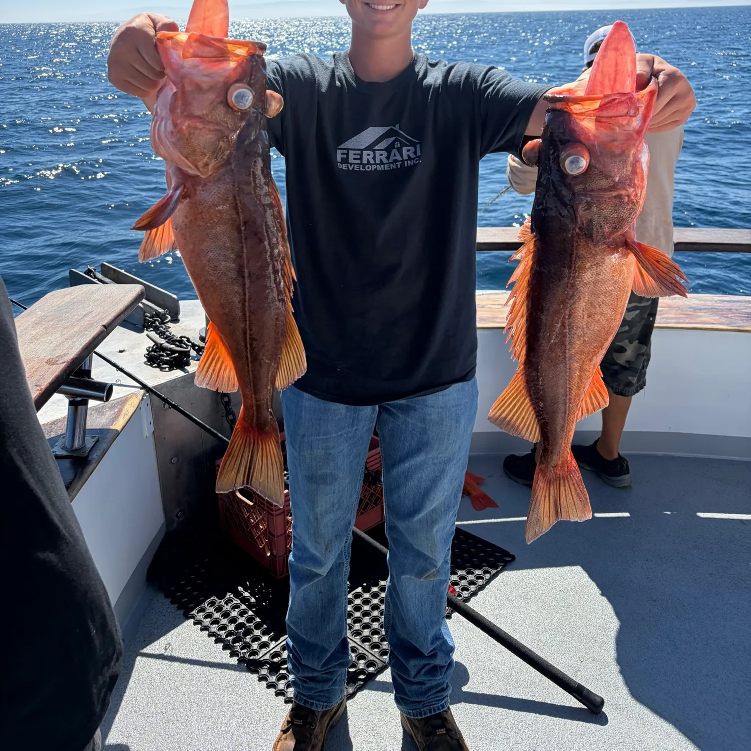 Bocaccio rockfish caught on Fishbrain