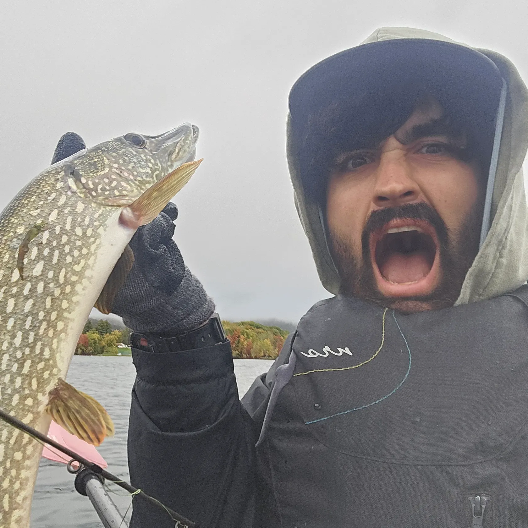 Northern pike caught on Fishbrain