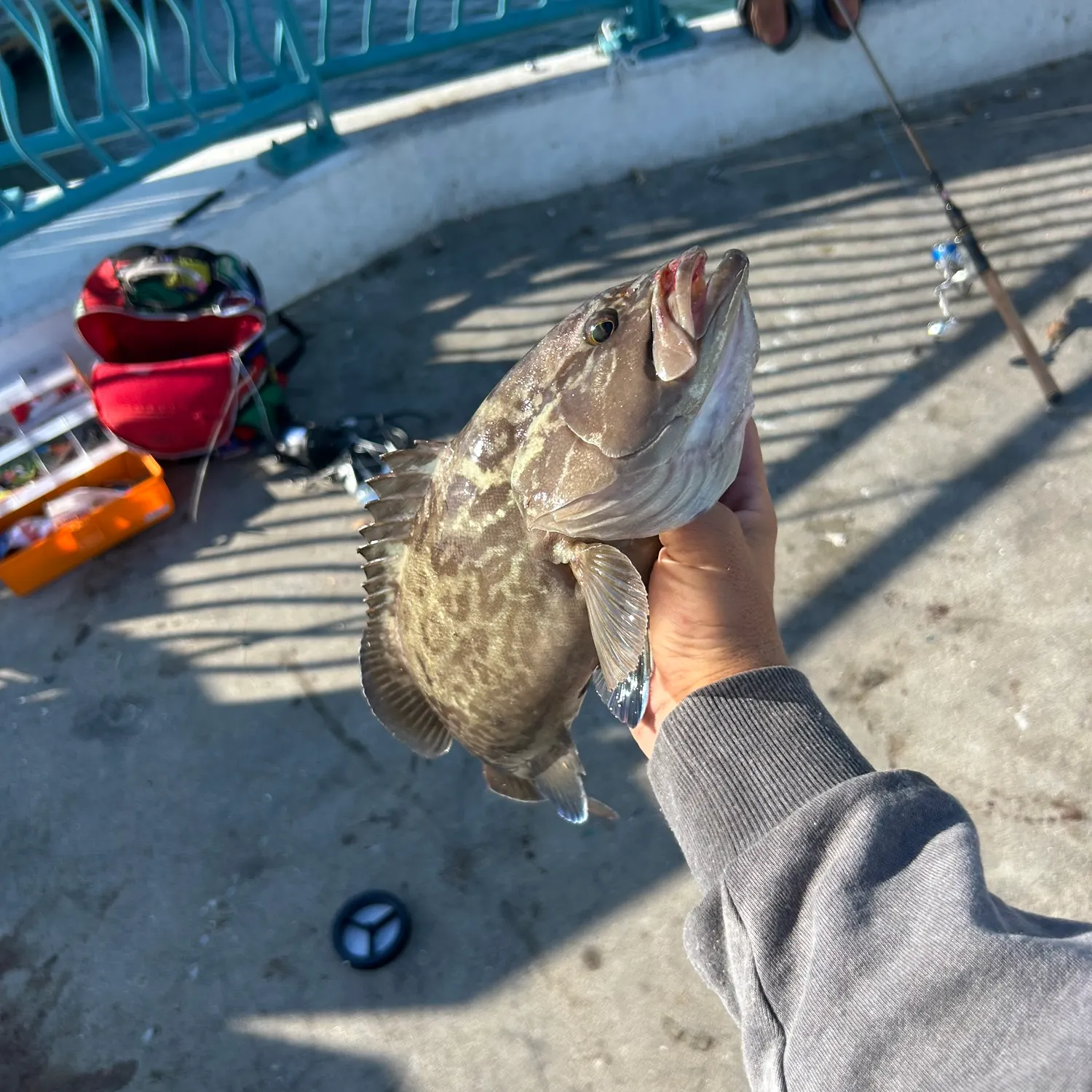 catch