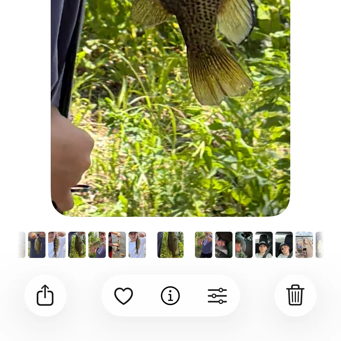 catch