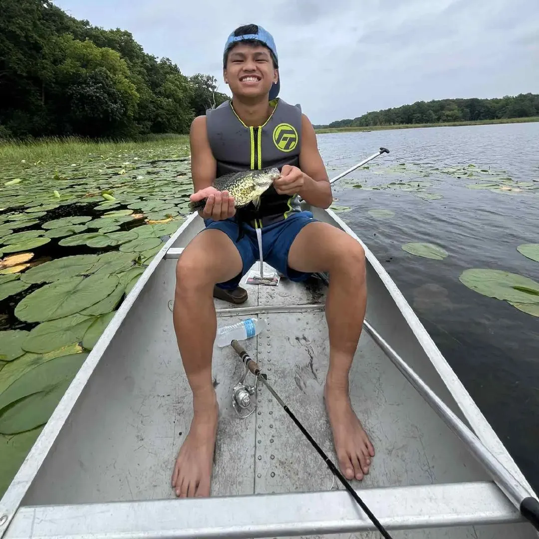 Black crappie caught on Fishbrain