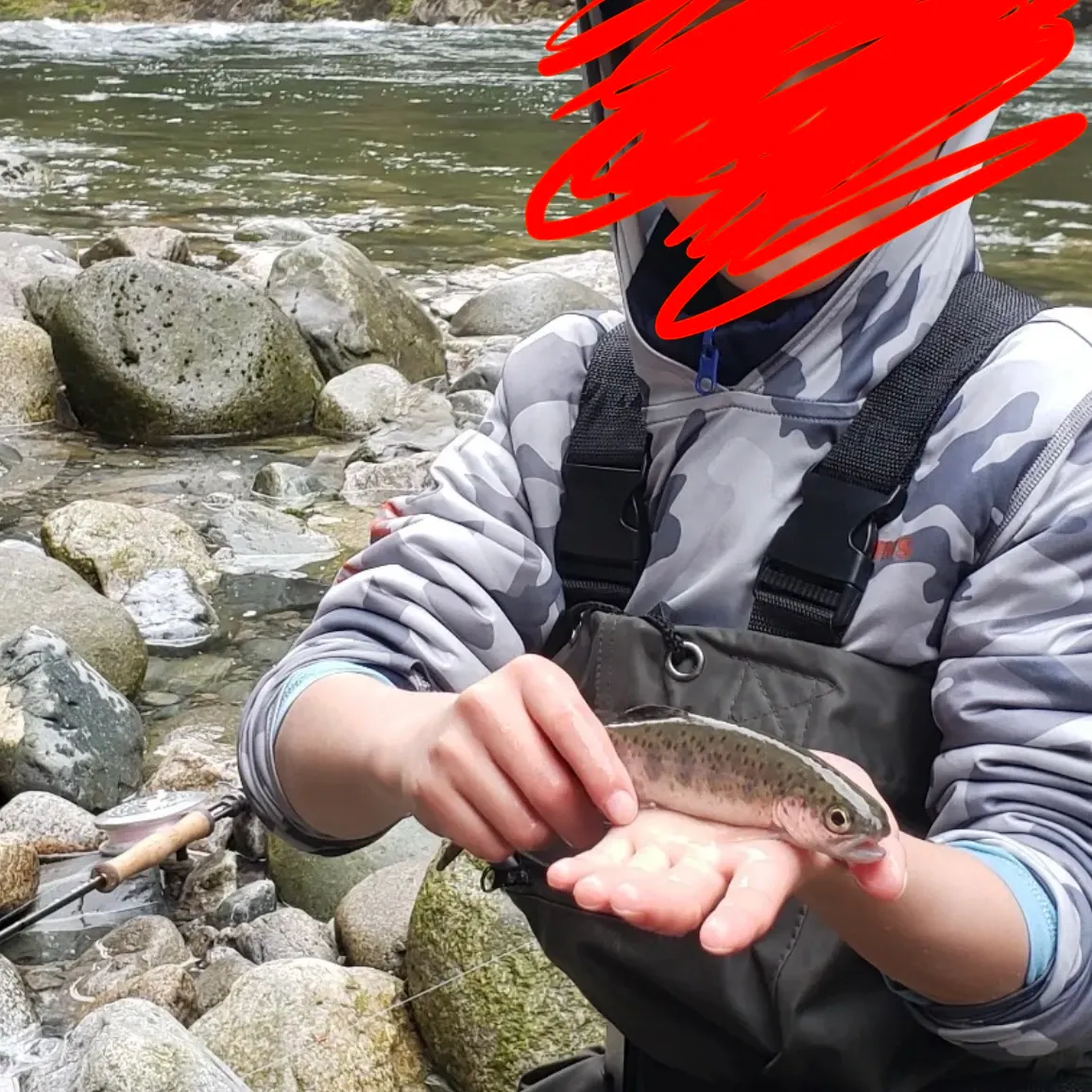 Steelhead caught on Fishbrain