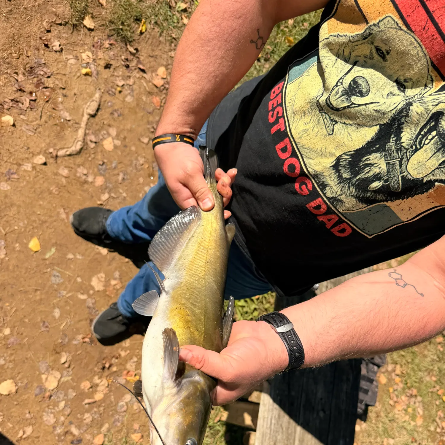 Channel catfish caught on Fishbrain