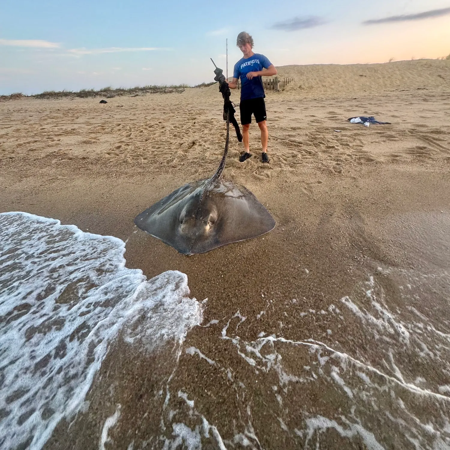 The most recent Roughtail stingray catches on Fishbrain