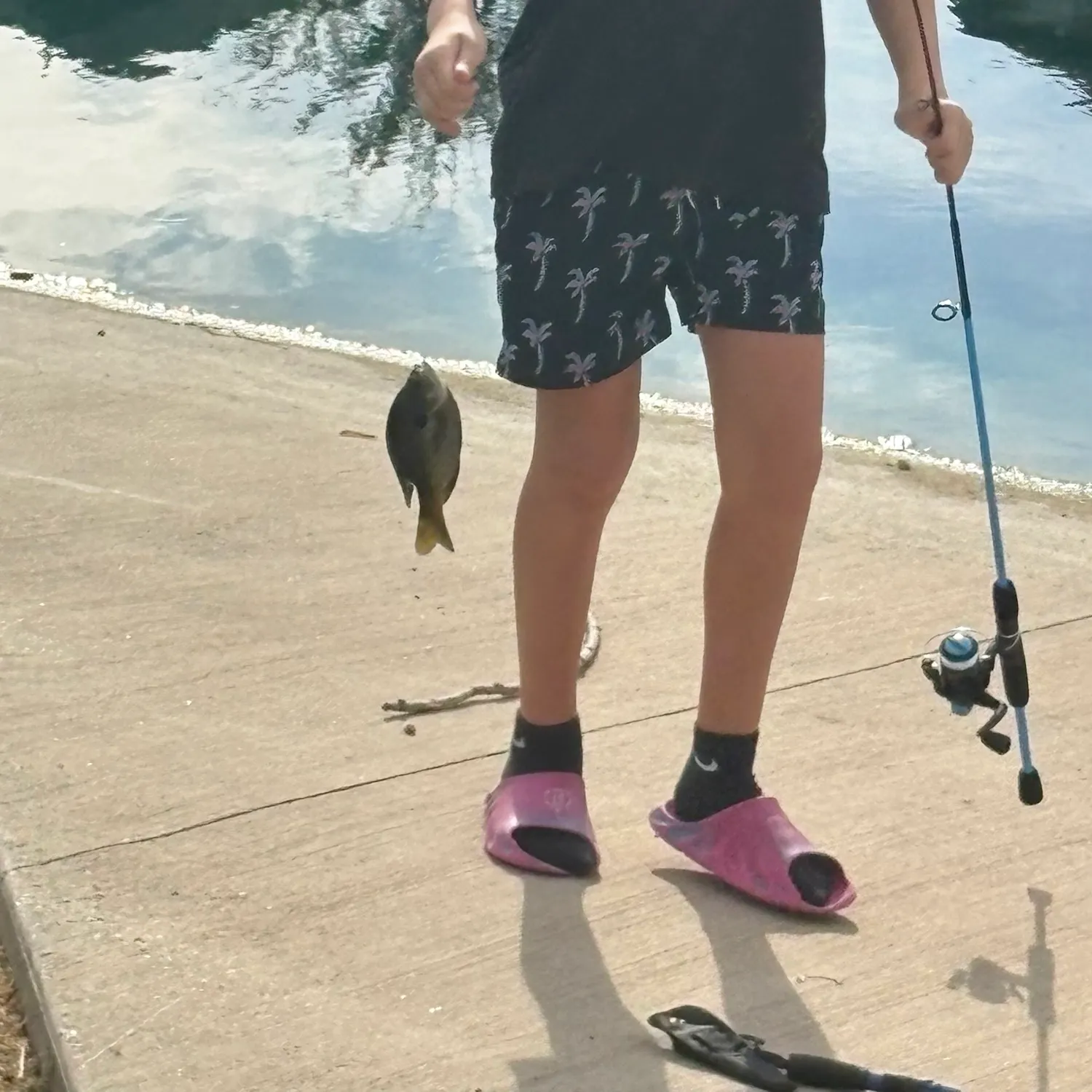 Fish caught on Fishbrain