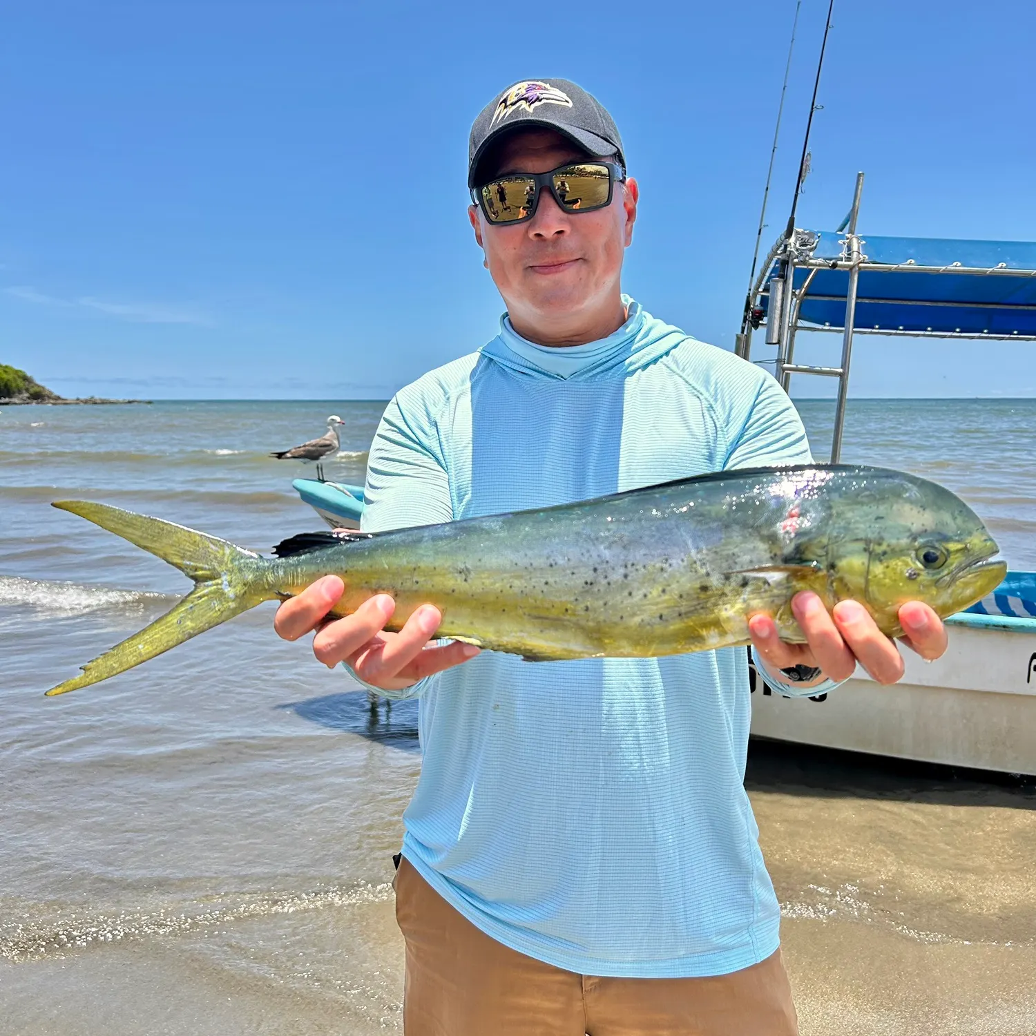 The most recent Common dolphinfish catches on Fishbrain