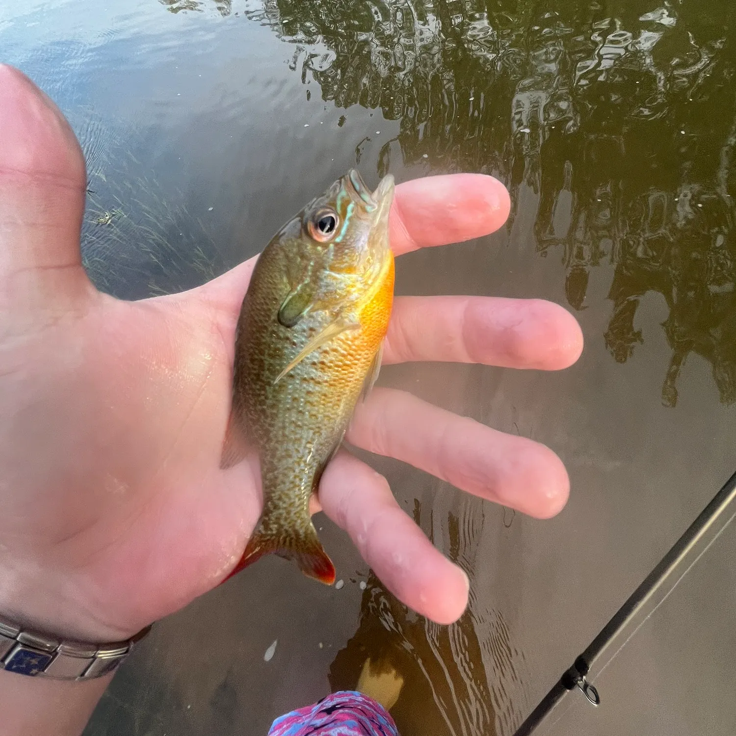 most liked catch image