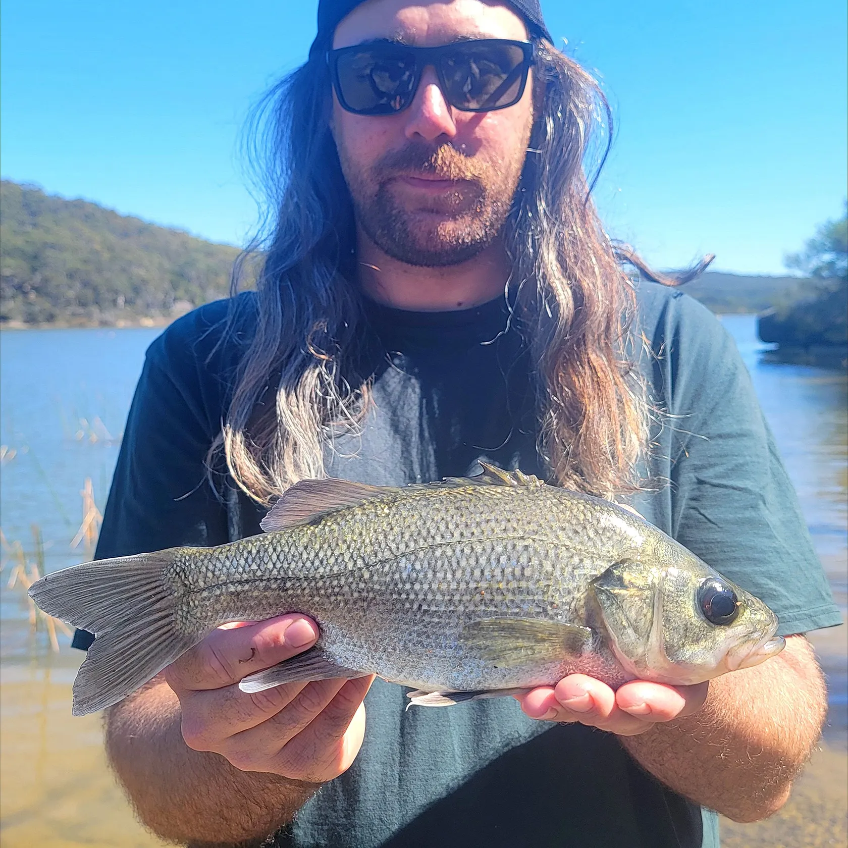 Australian bass caught on Fishbrain