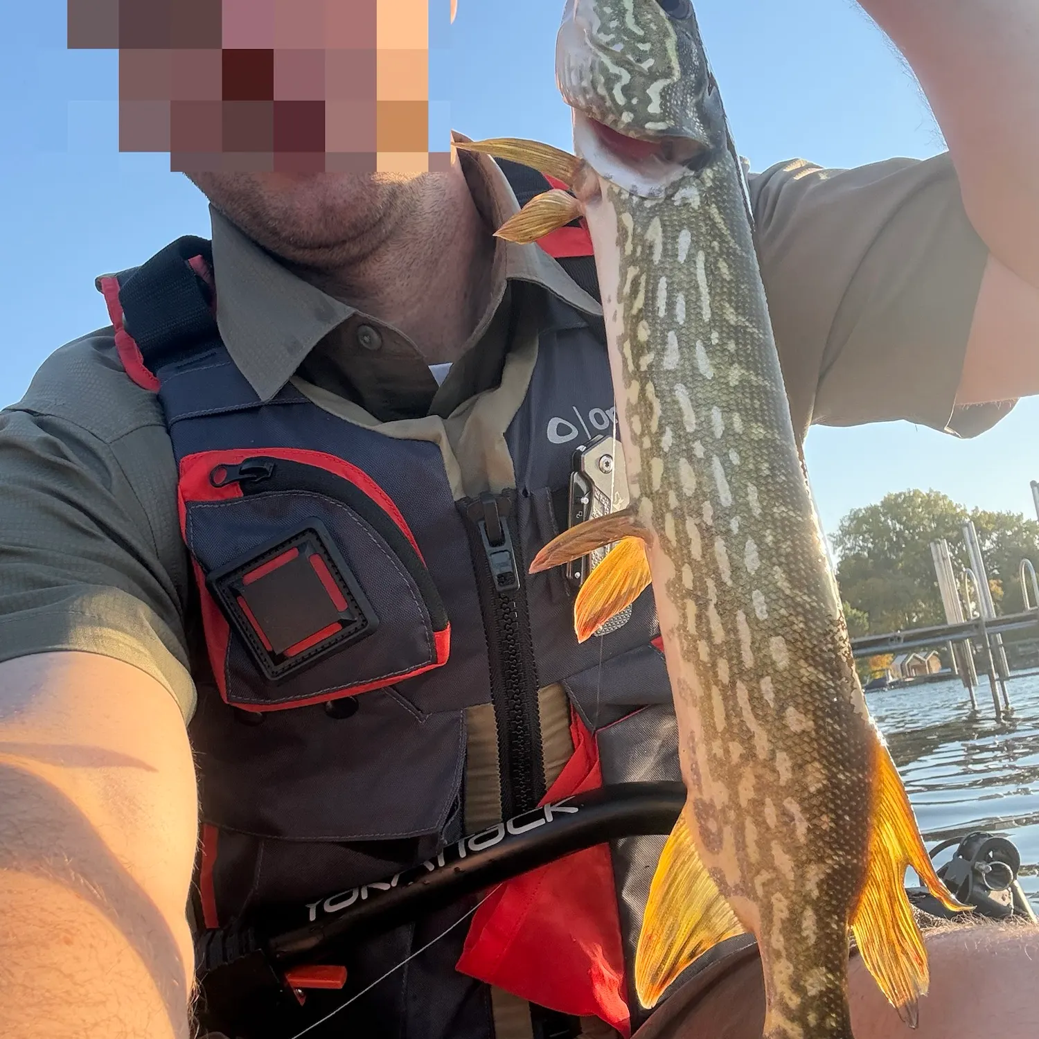 Northern pike caught on Fishbrain