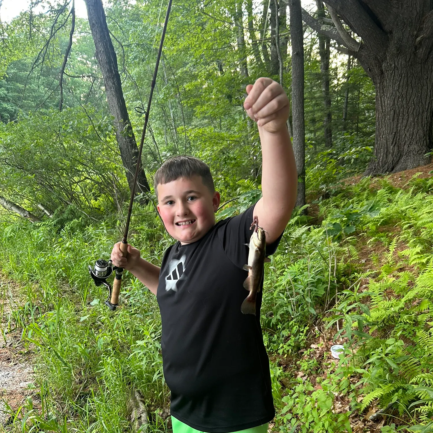 Channel catfish caught on Fishbrain
