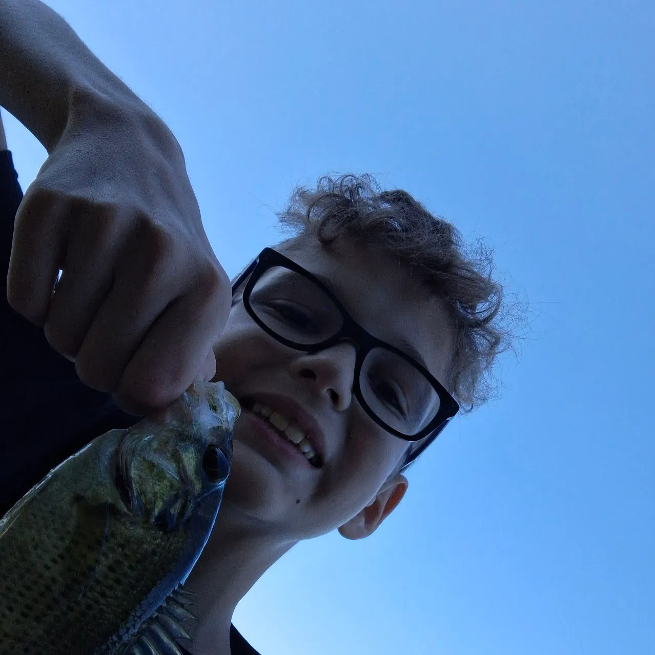 Rock bass caught on Fishbrain