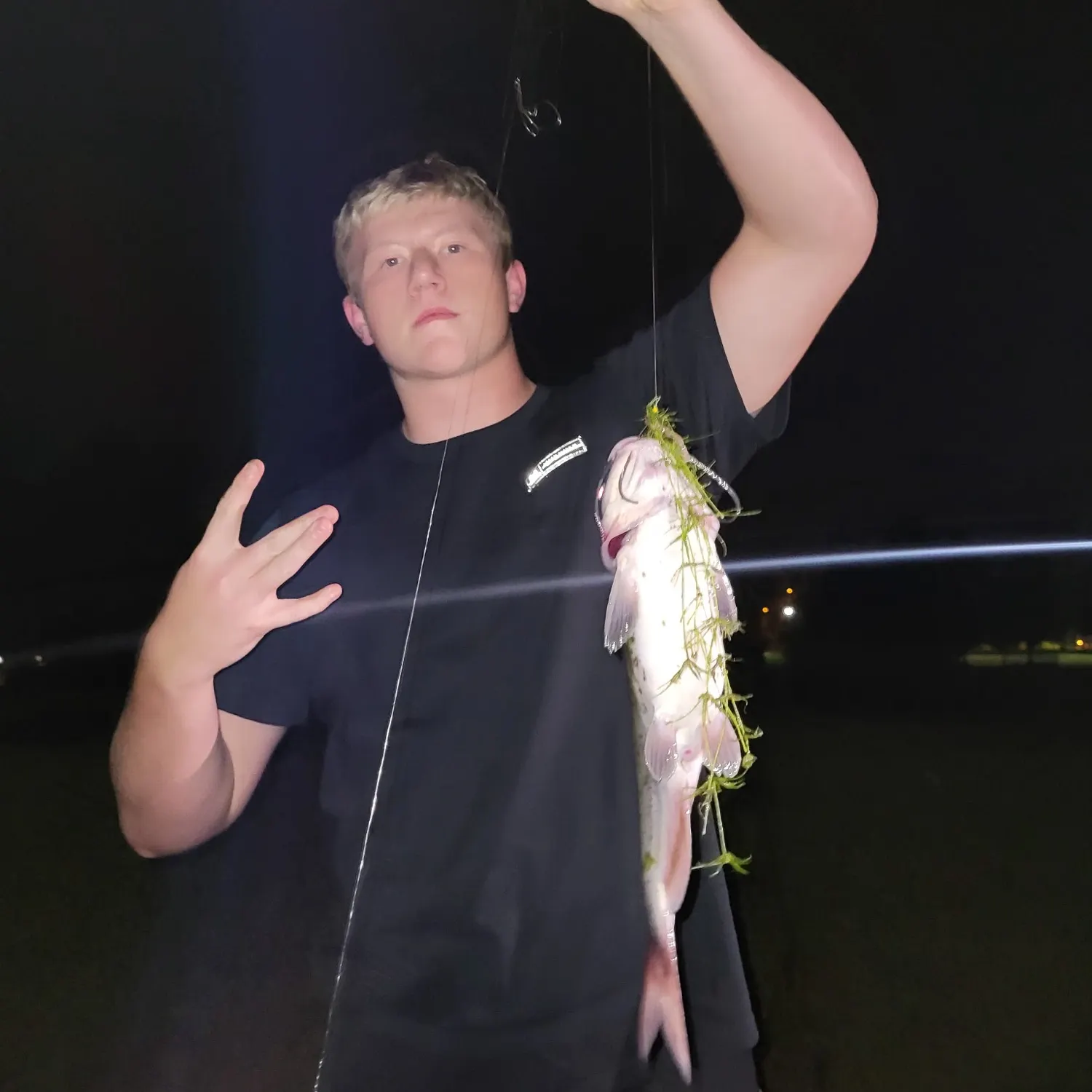 Channel catfish caught on Fishbrain