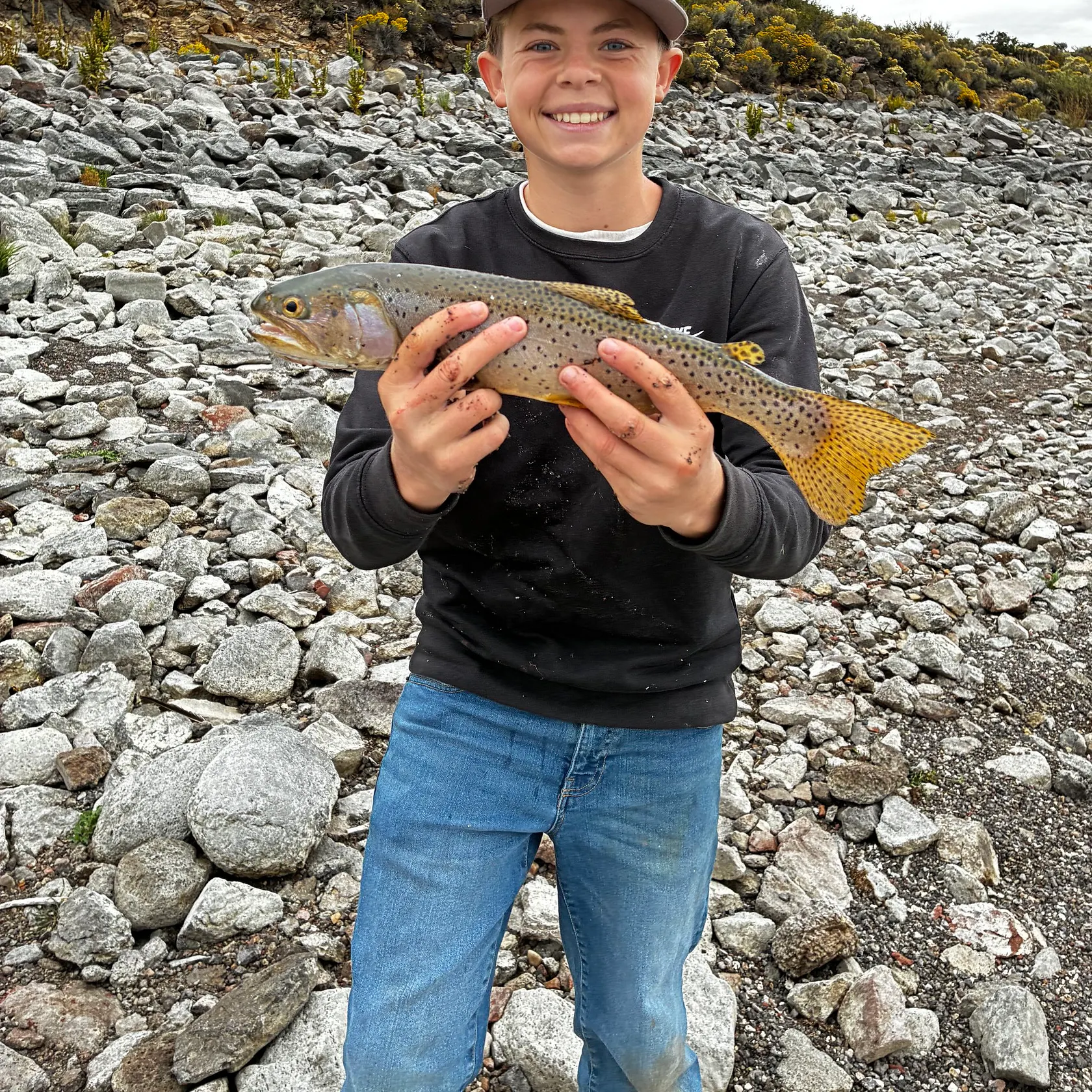 Cutthroat trout caught on Fishbrain