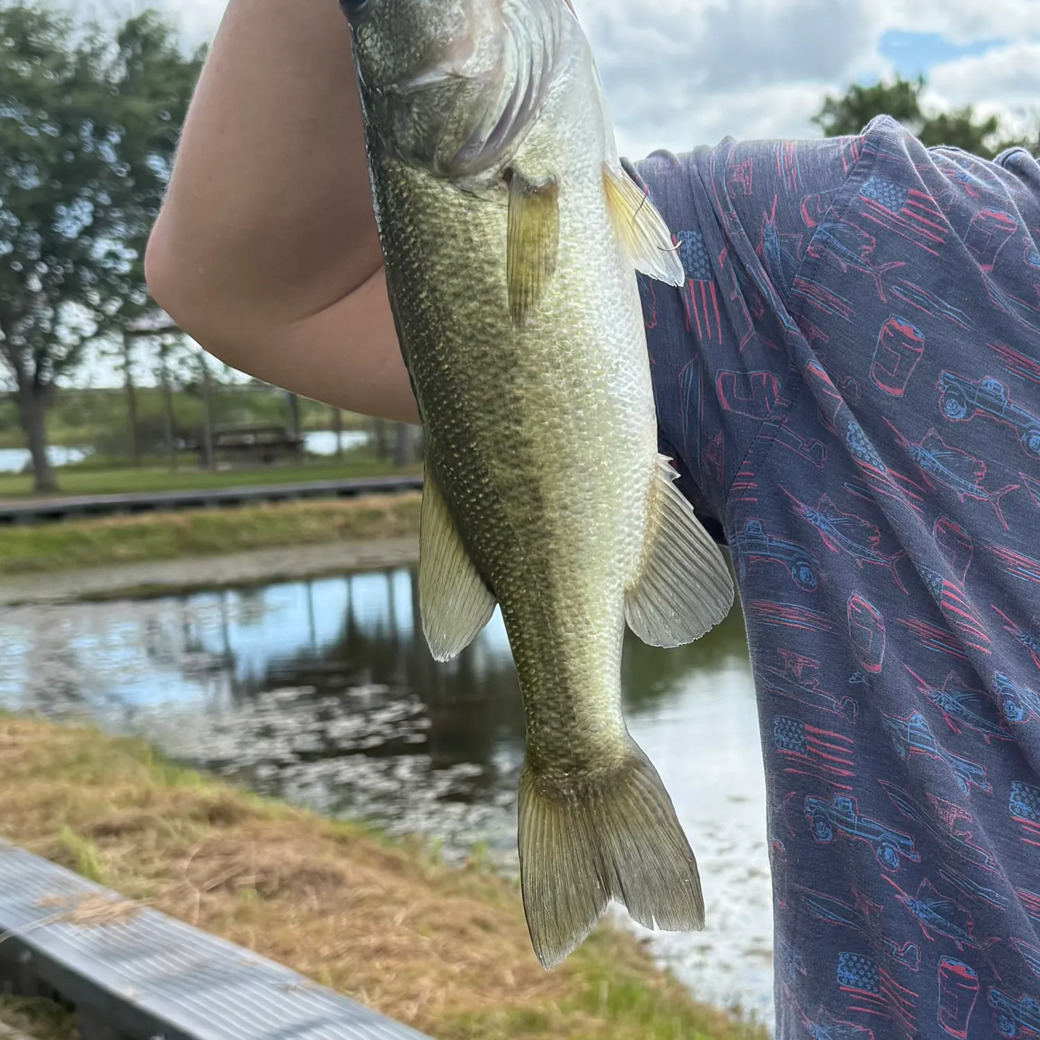 Largemouth bass caught on Fishbrain