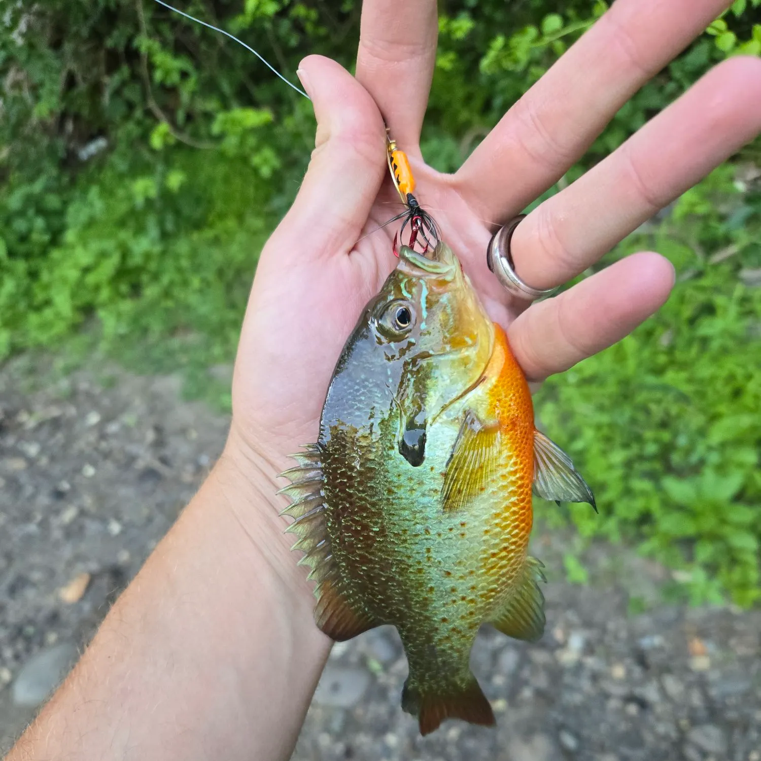 catch