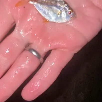 The most recent Spotnape ponyfish catches on Fishbrain