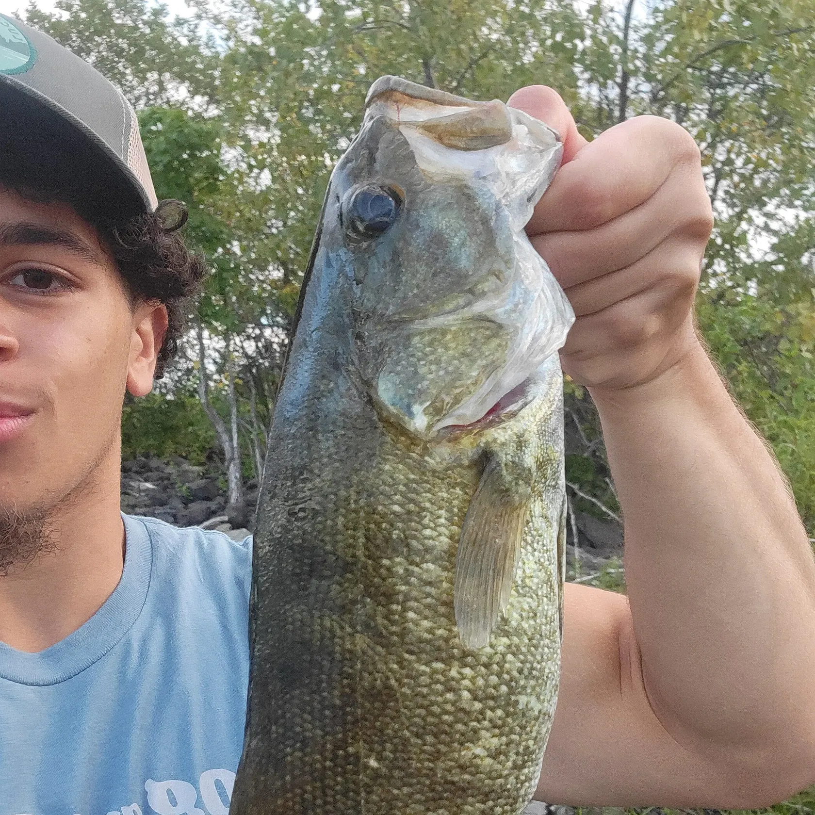 Smallmouth bass caught on Fishbrain