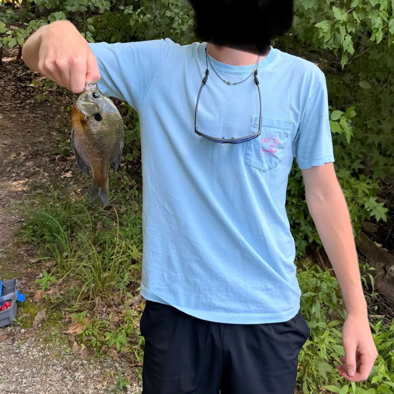 Bluegill caught on Fishbrain