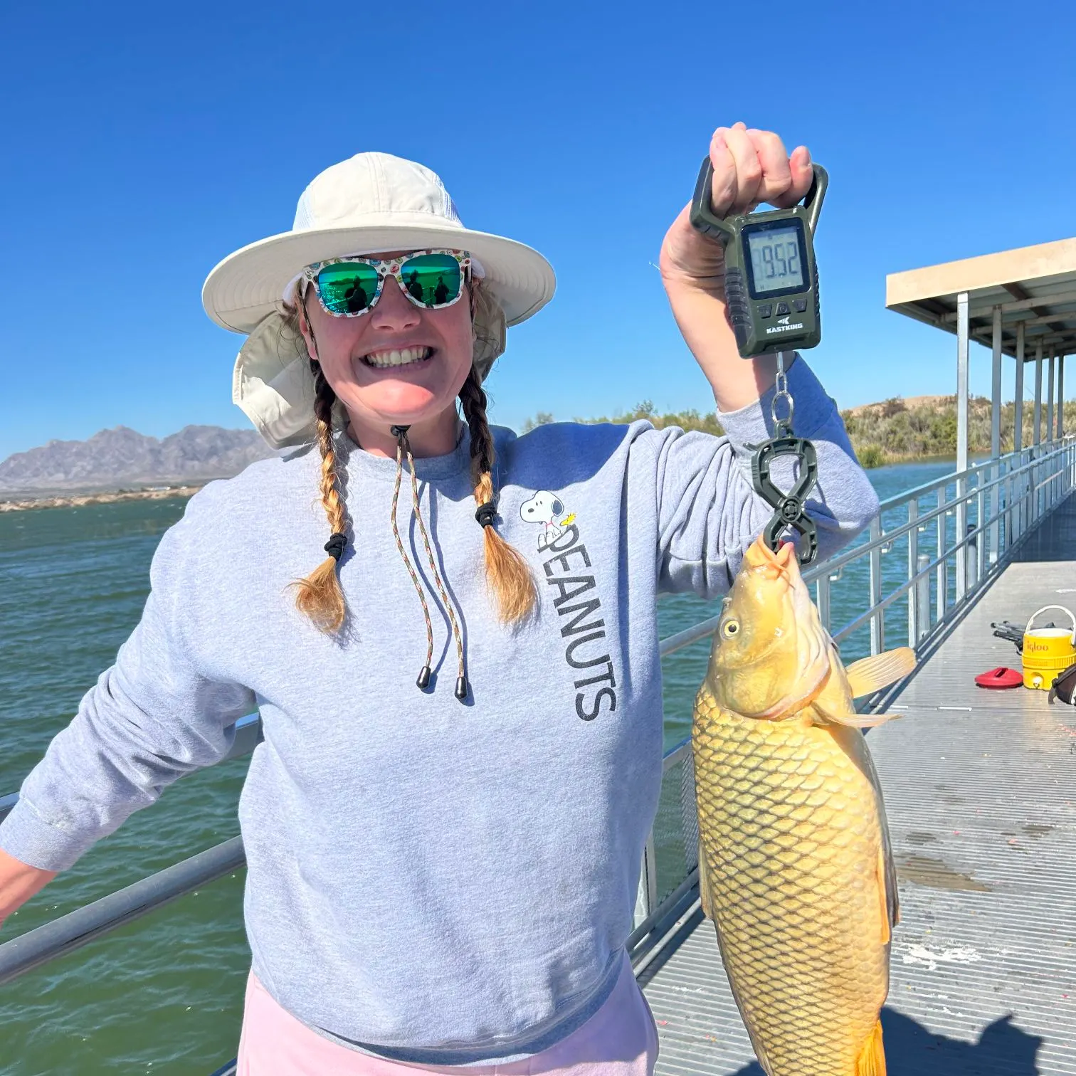 Common carp caught on Fishbrain