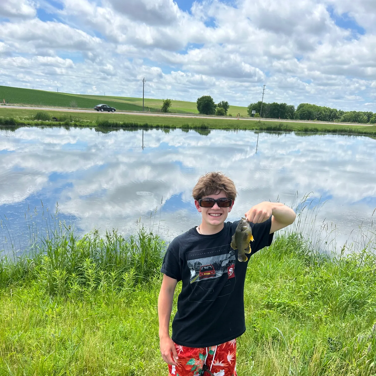 The most recent Wargill hybrid catches on Fishbrain