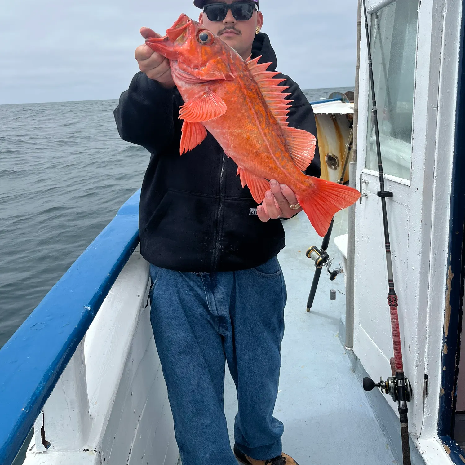 The most recent Vermilion rockfish catches on Fishbrain