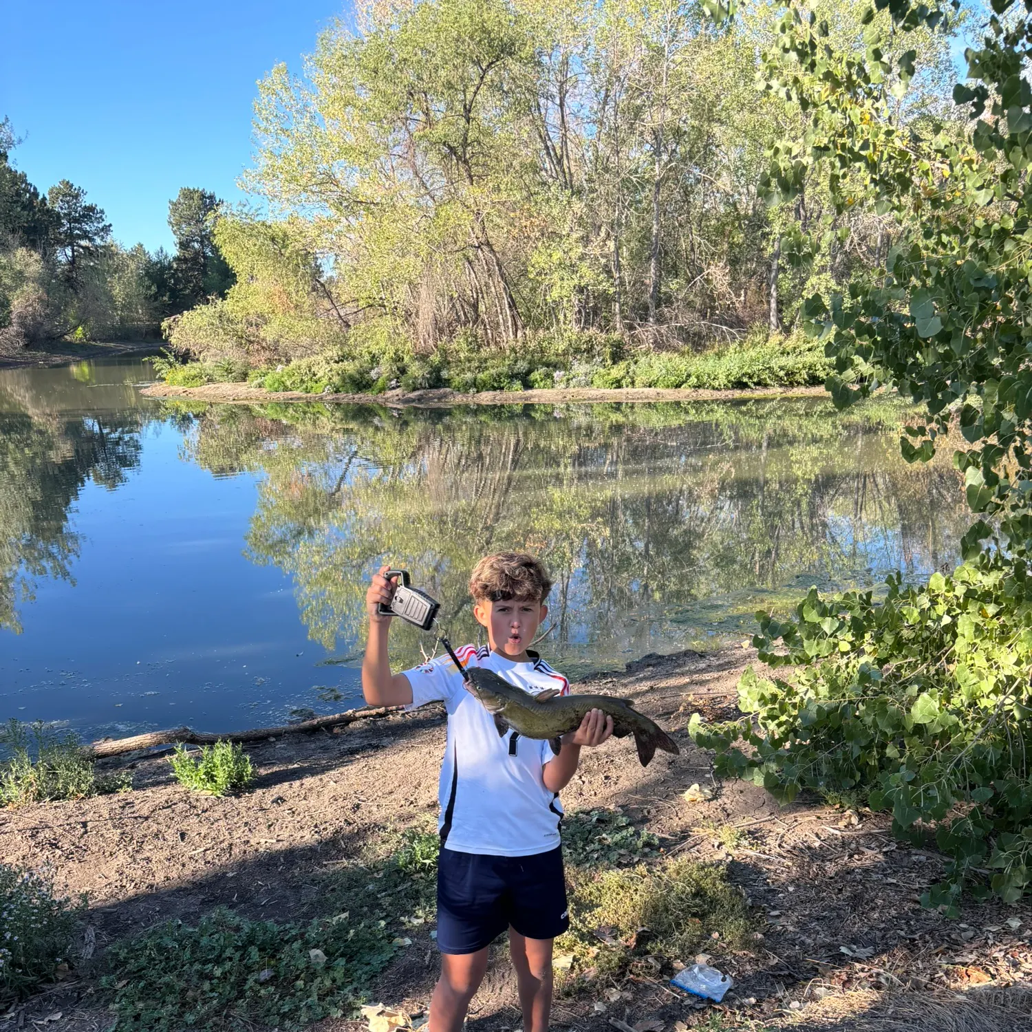 Channel catfish caught on Fishbrain