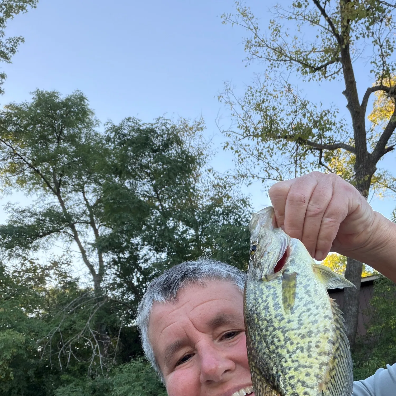 Black crappie caught on Fishbrain