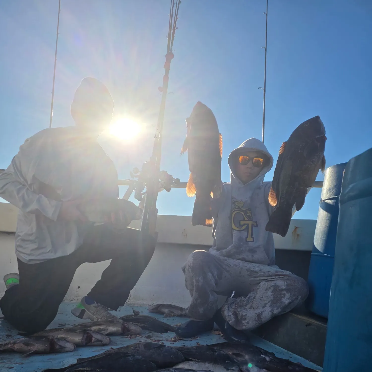 Tautog caught on Fishbrain