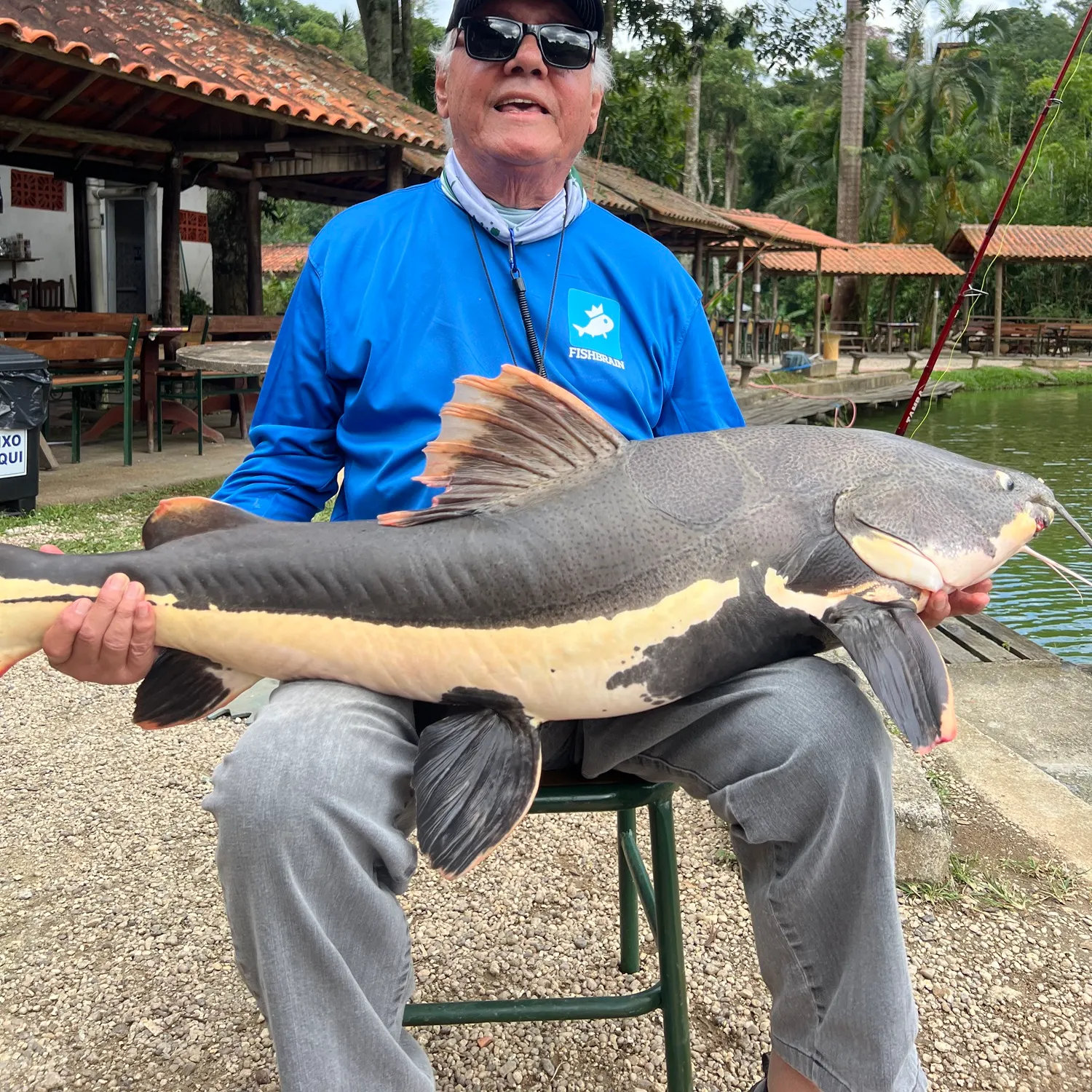The most recent Redtail catfish catches on Fishbrain