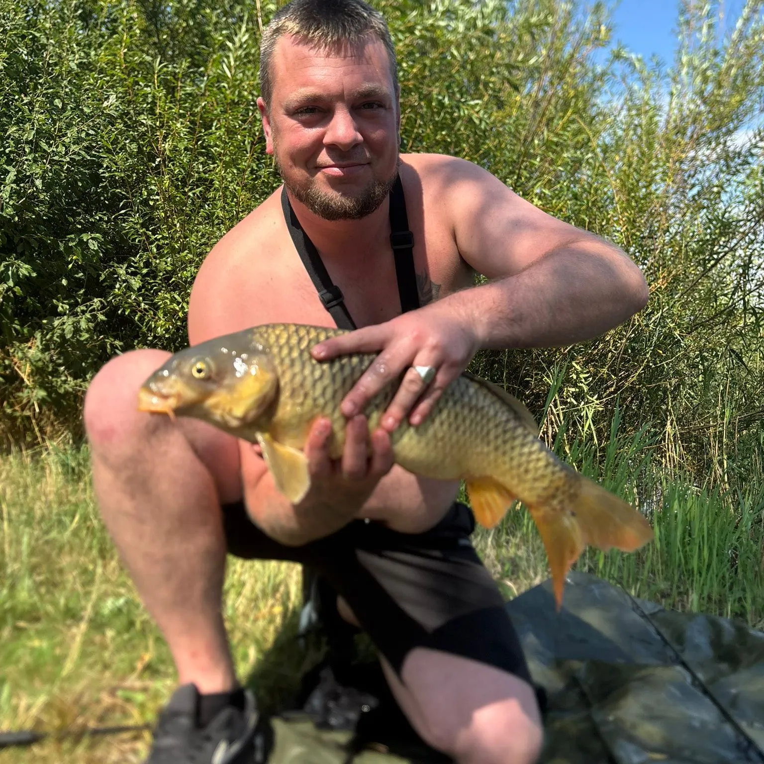 Common carp caught on Fishbrain
