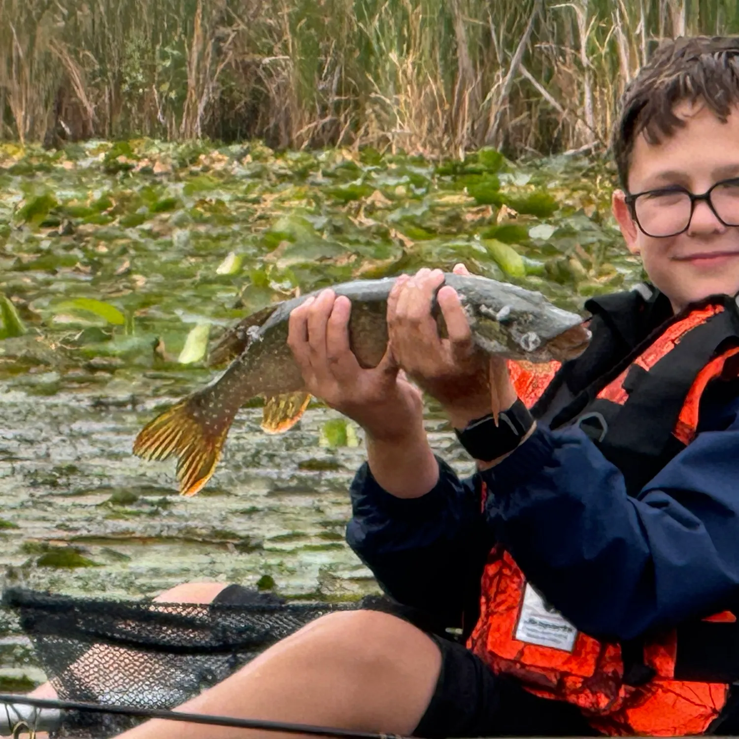 Northern pike caught on Fishbrain