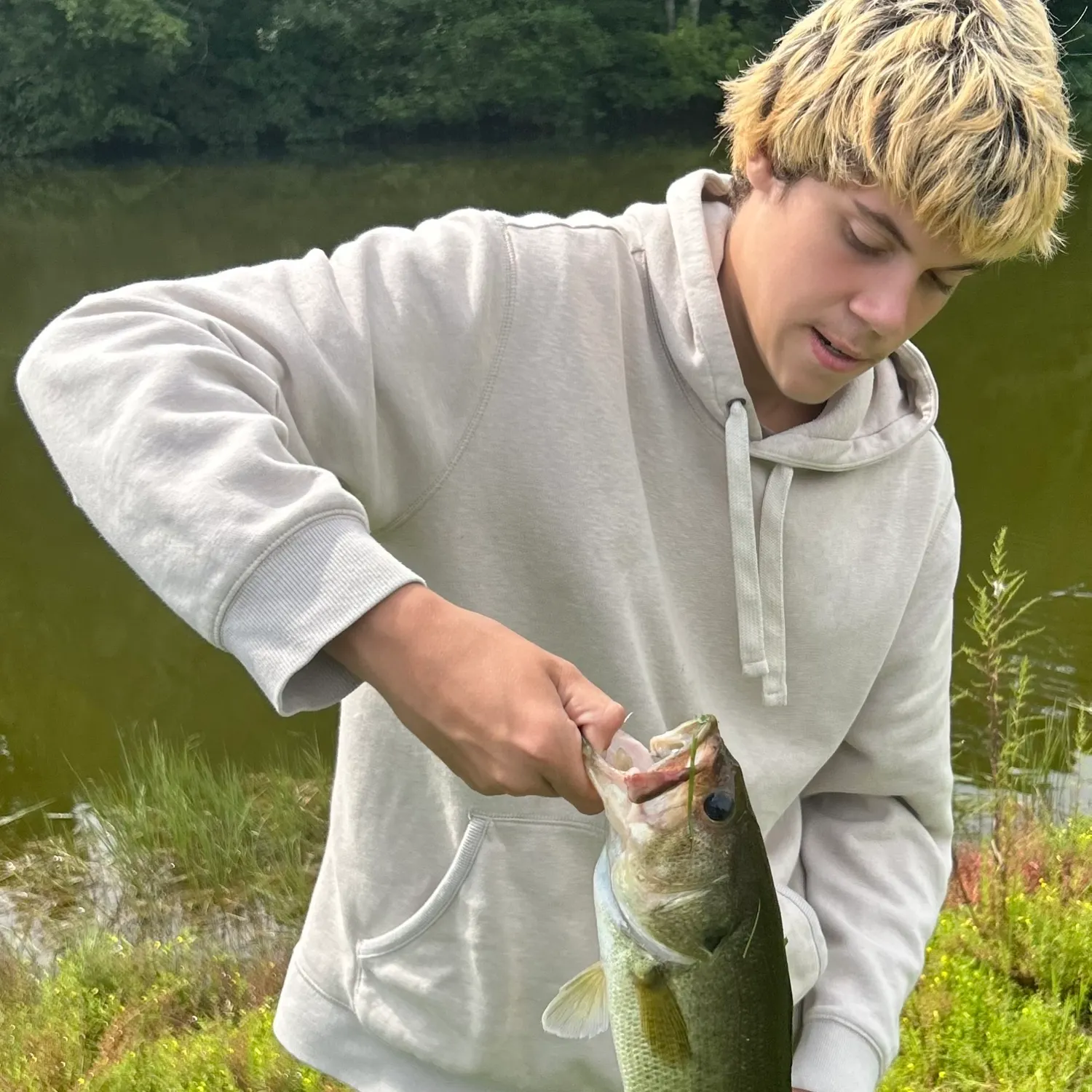 Largemouth bass caught on Fishbrain