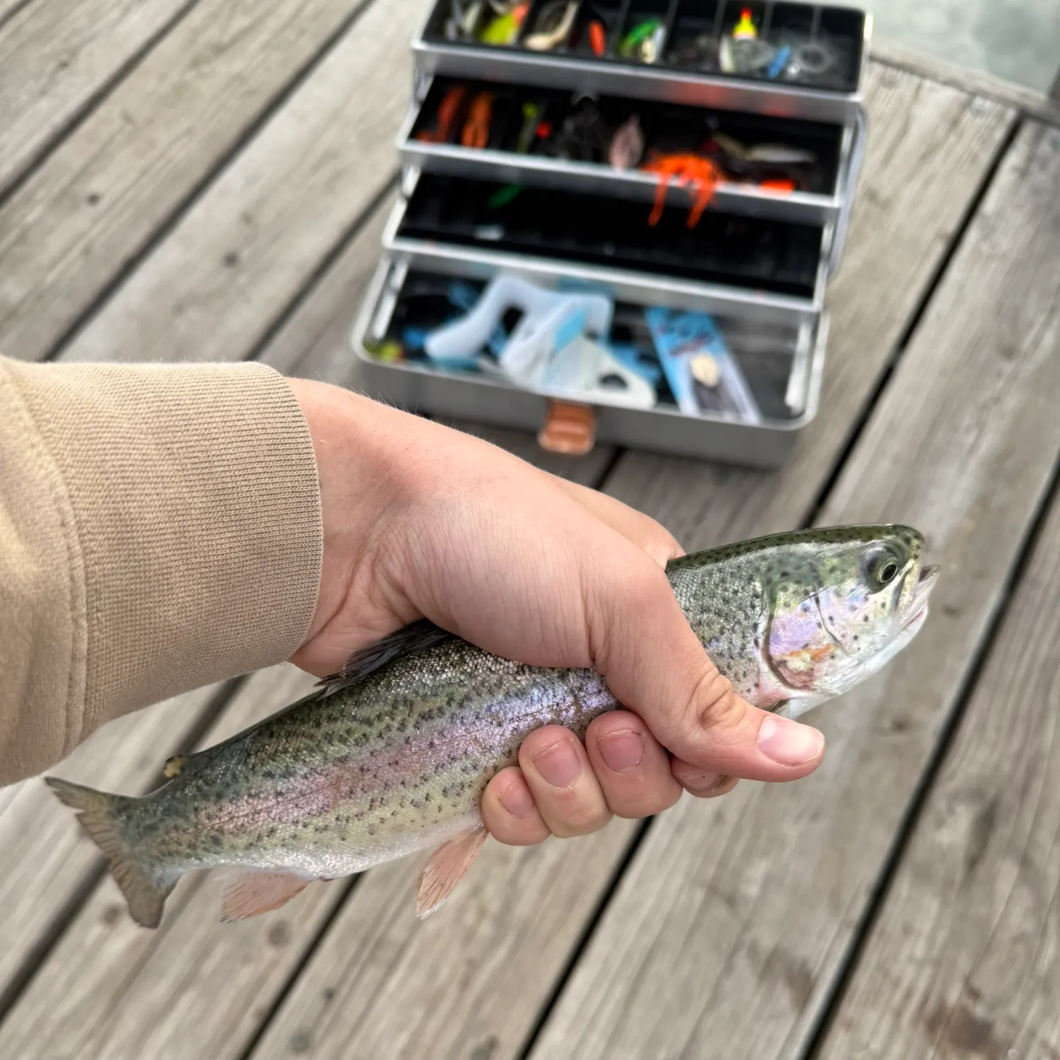 recently logged catches