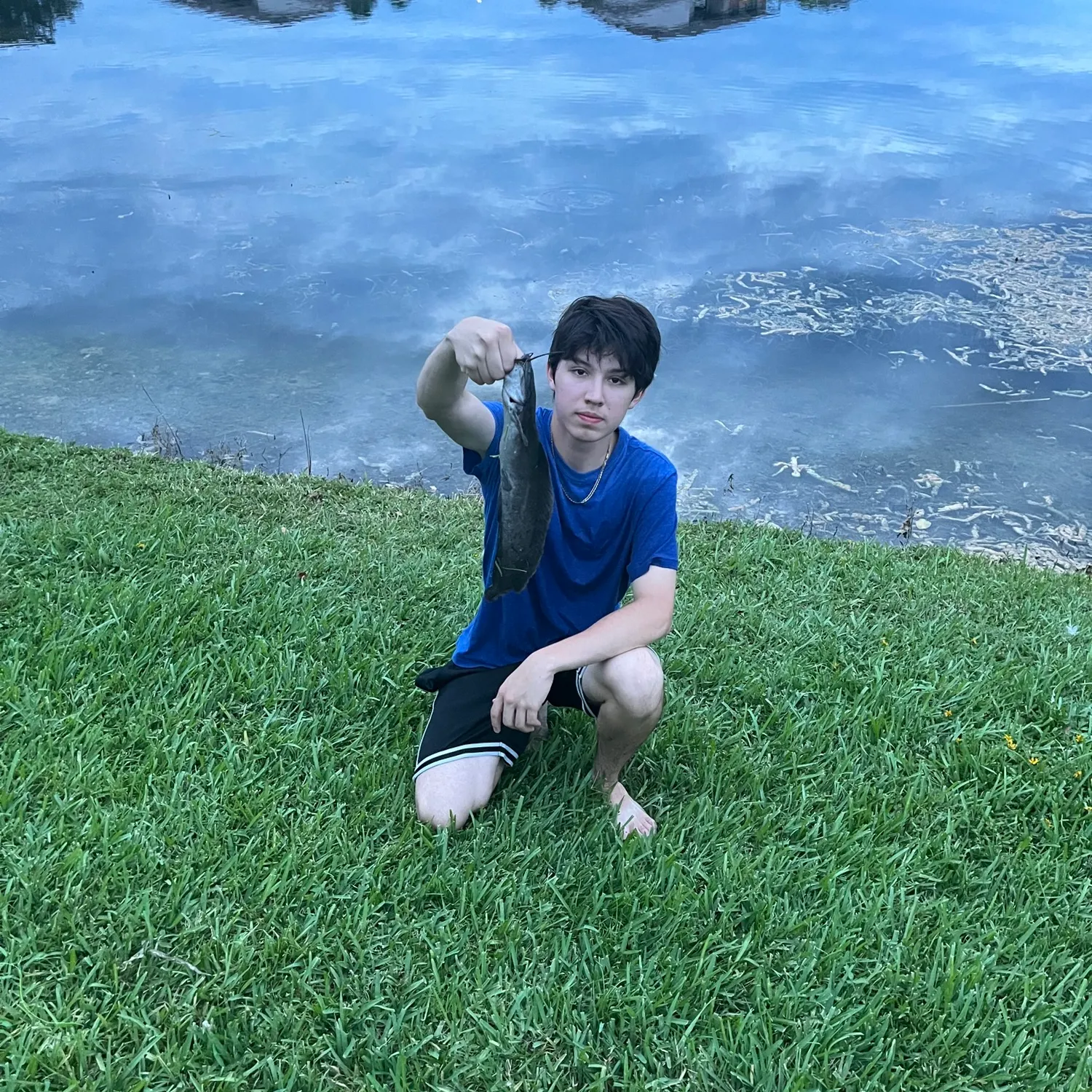 The most recent Walking catfish catches on Fishbrain
