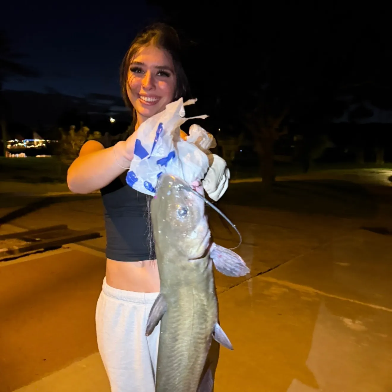 Channel catfish caught on Fishbrain
