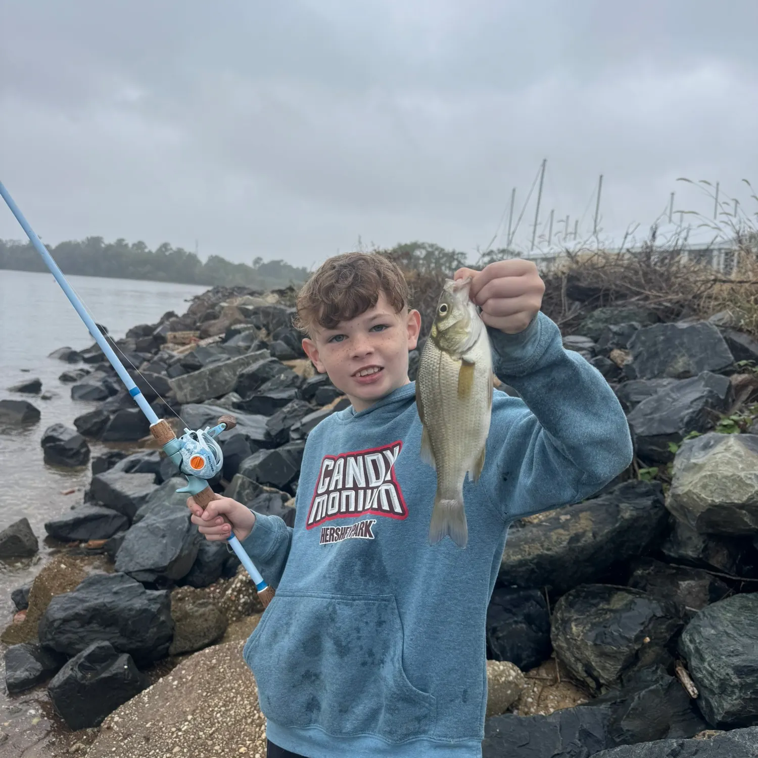 White perch caught on Fishbrain