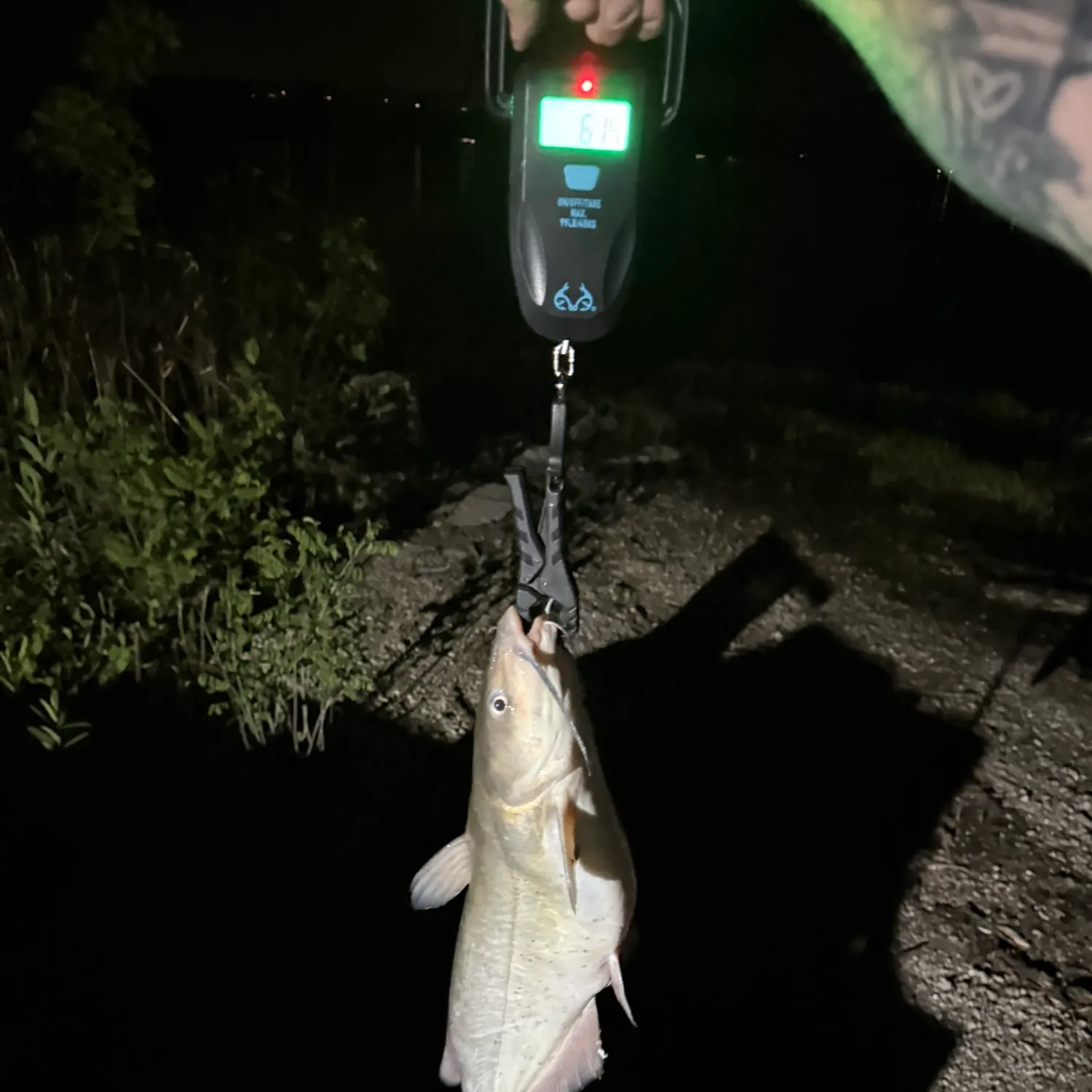 catch