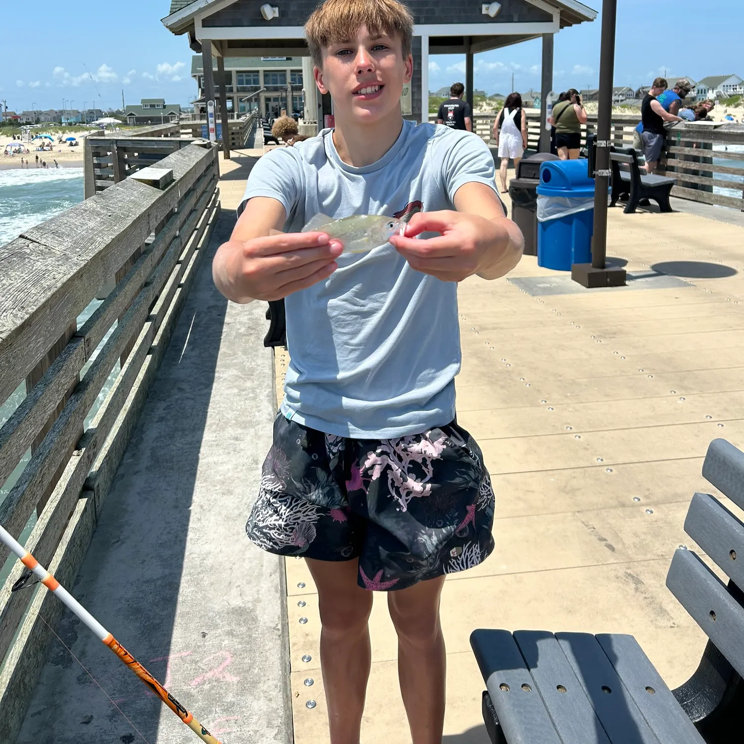 The most recent Tomtate grunt catches on Fishbrain