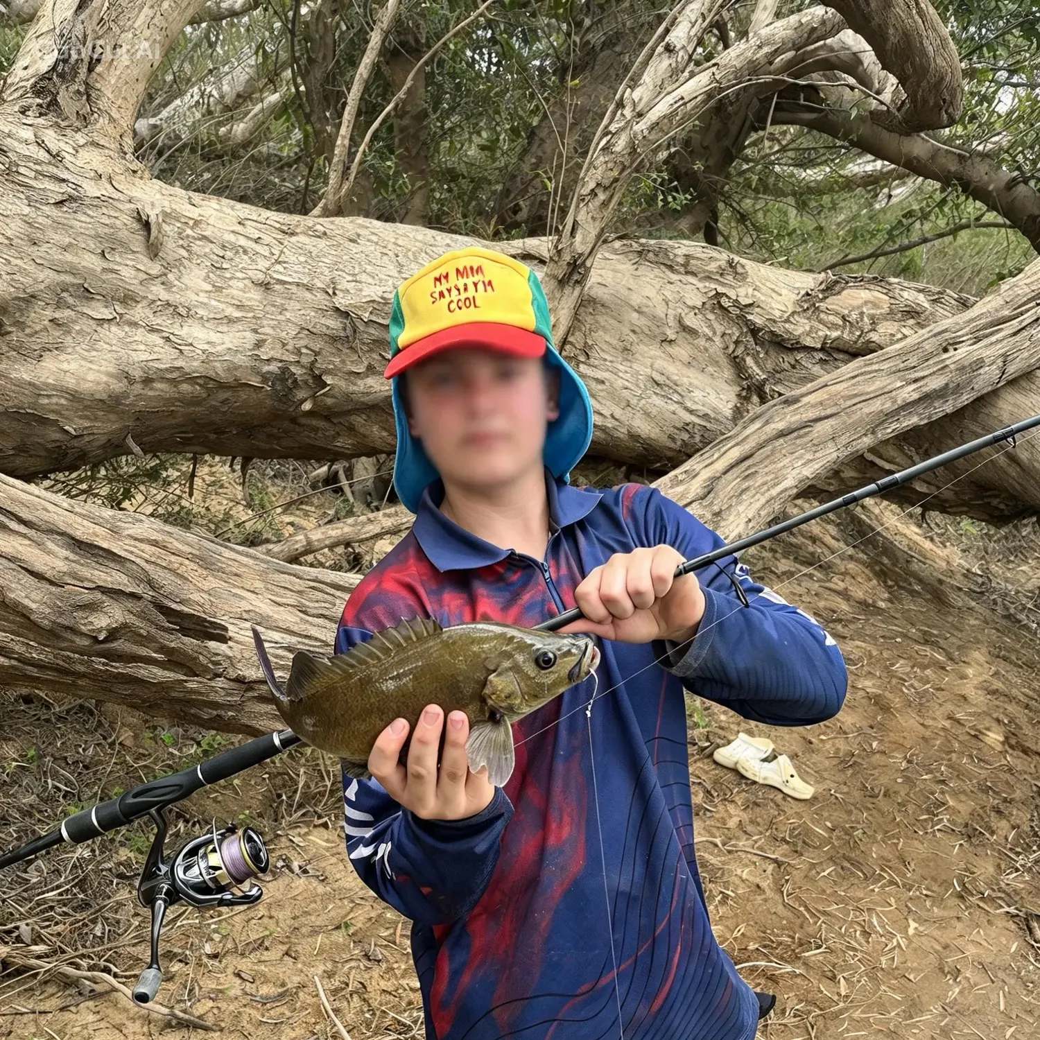 Sooty grunter caught on Fishbrain
