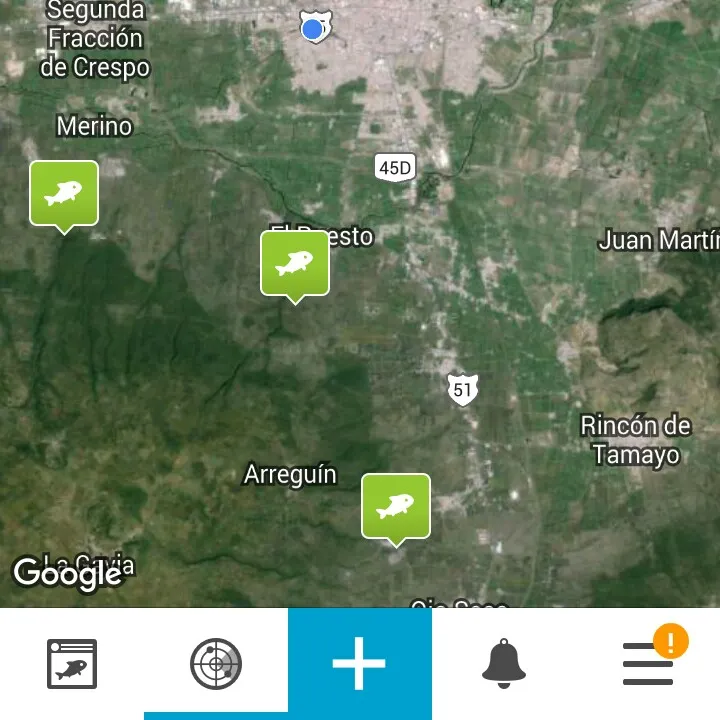 recently logged catches