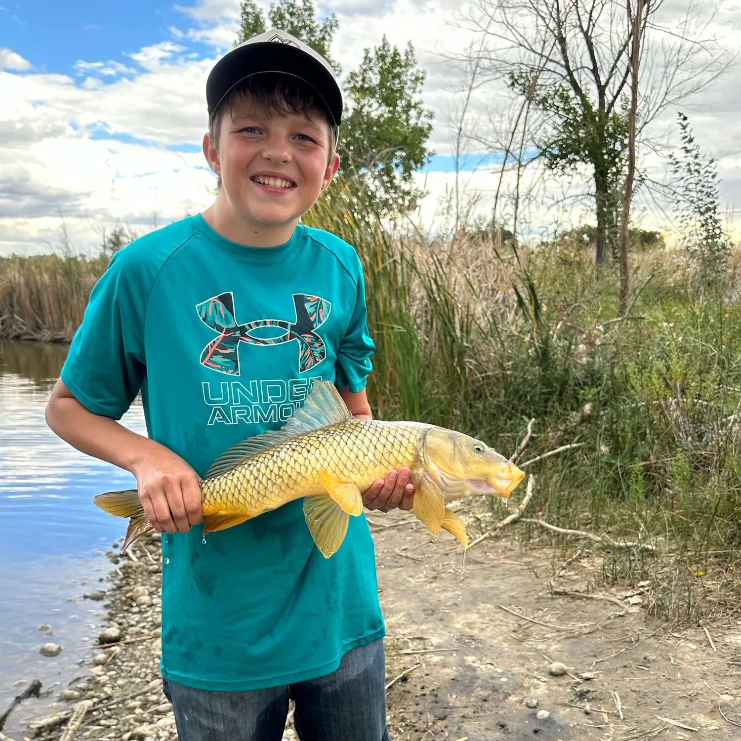 Common carp caught on Fishbrain