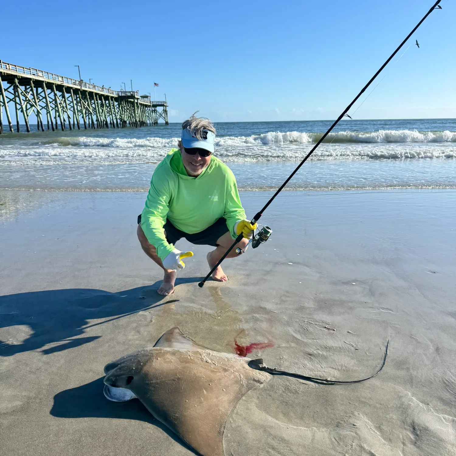 The most recent Cownose Ray catches on Fishbrain