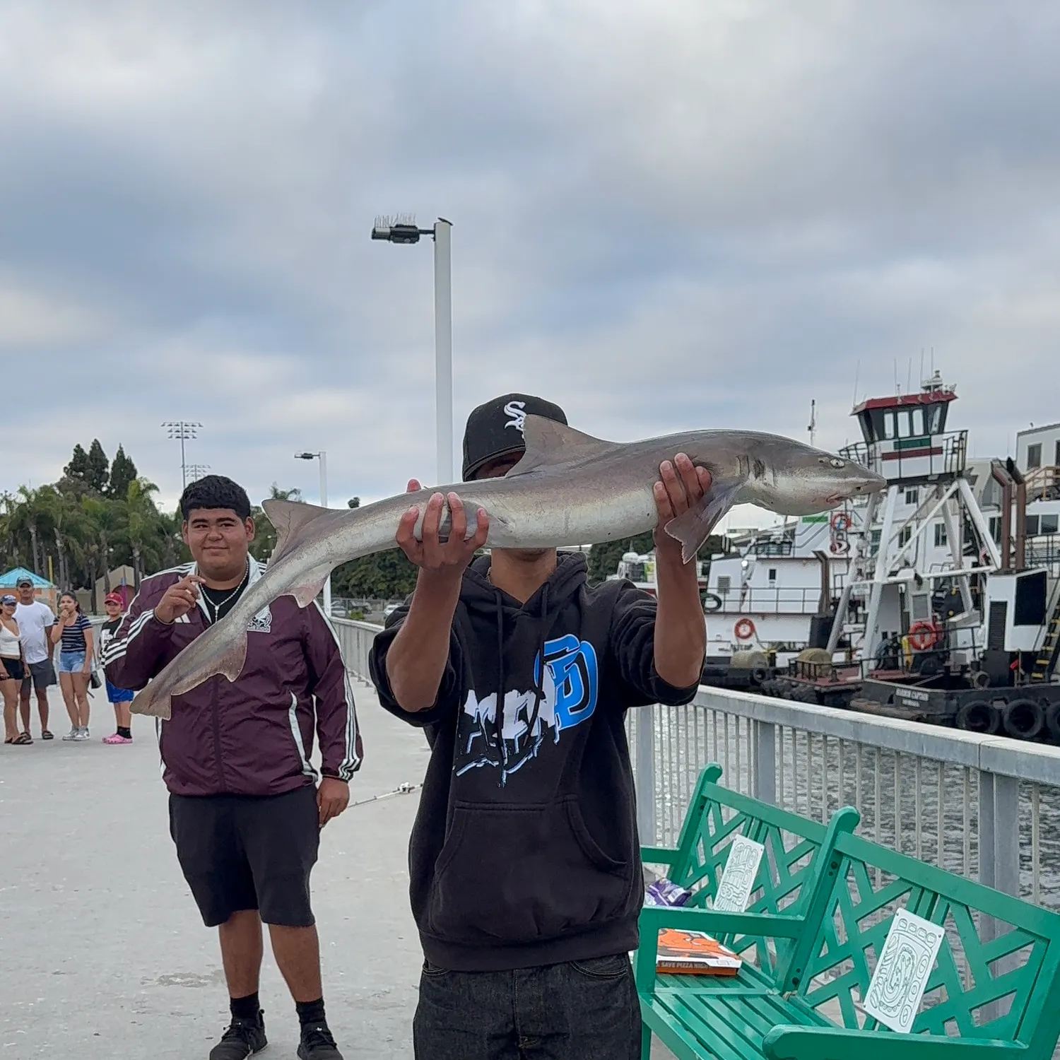 The most recent Pacific sharpnose shark catches on Fishbrain