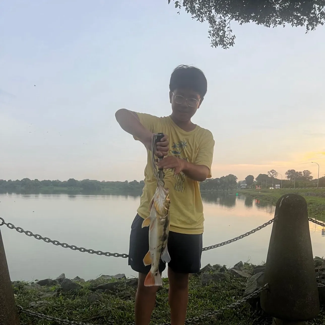 The most recent Speckled peacock bass catches on Fishbrain