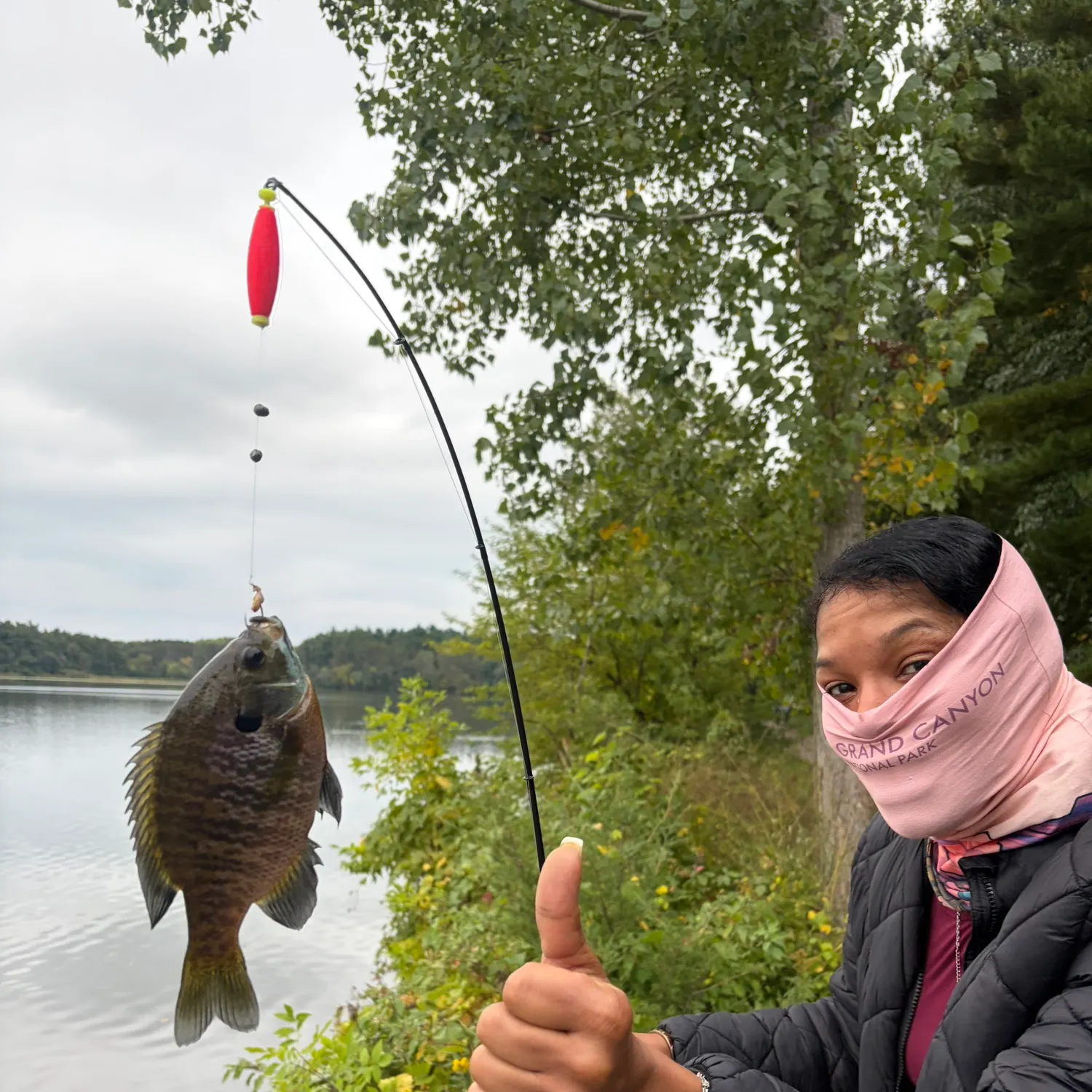 Bluegill caught on Fishbrain
