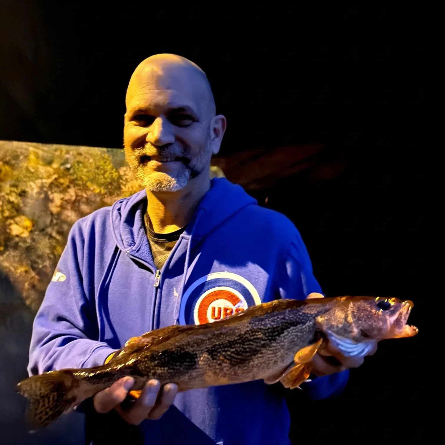 The most recent Sauger catches on Fishbrain